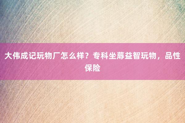 大伟成记玩物厂怎么样？专科坐蓐益智玩物，品性保险